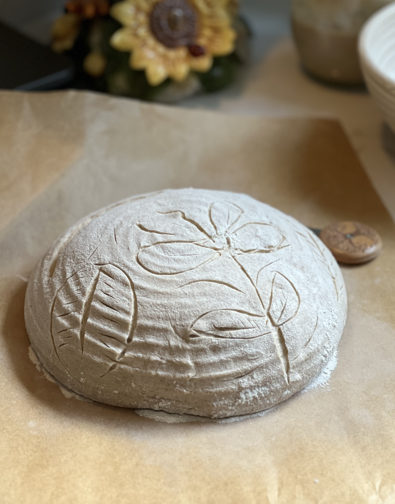 Image of a shaped sourdough before putting in the oven. the beginning of the process